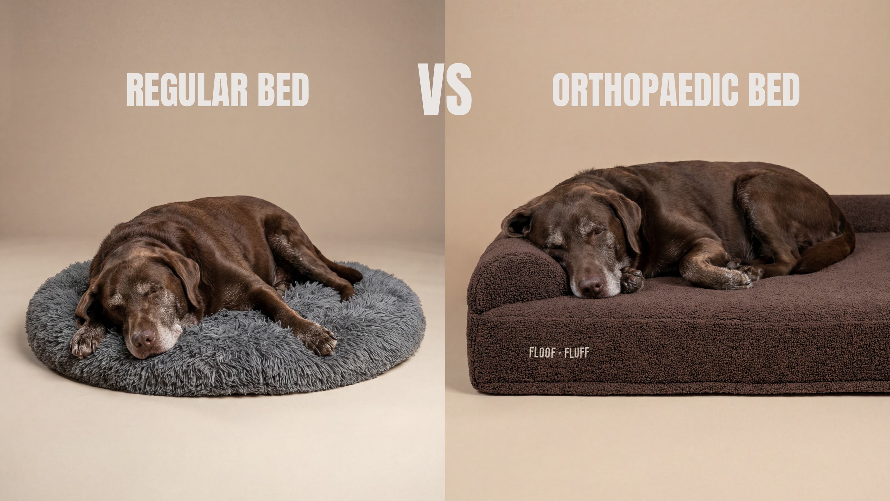 Orthopaedic Dog Bed vs Regular Dog Bed. Is There Actually a Difference?