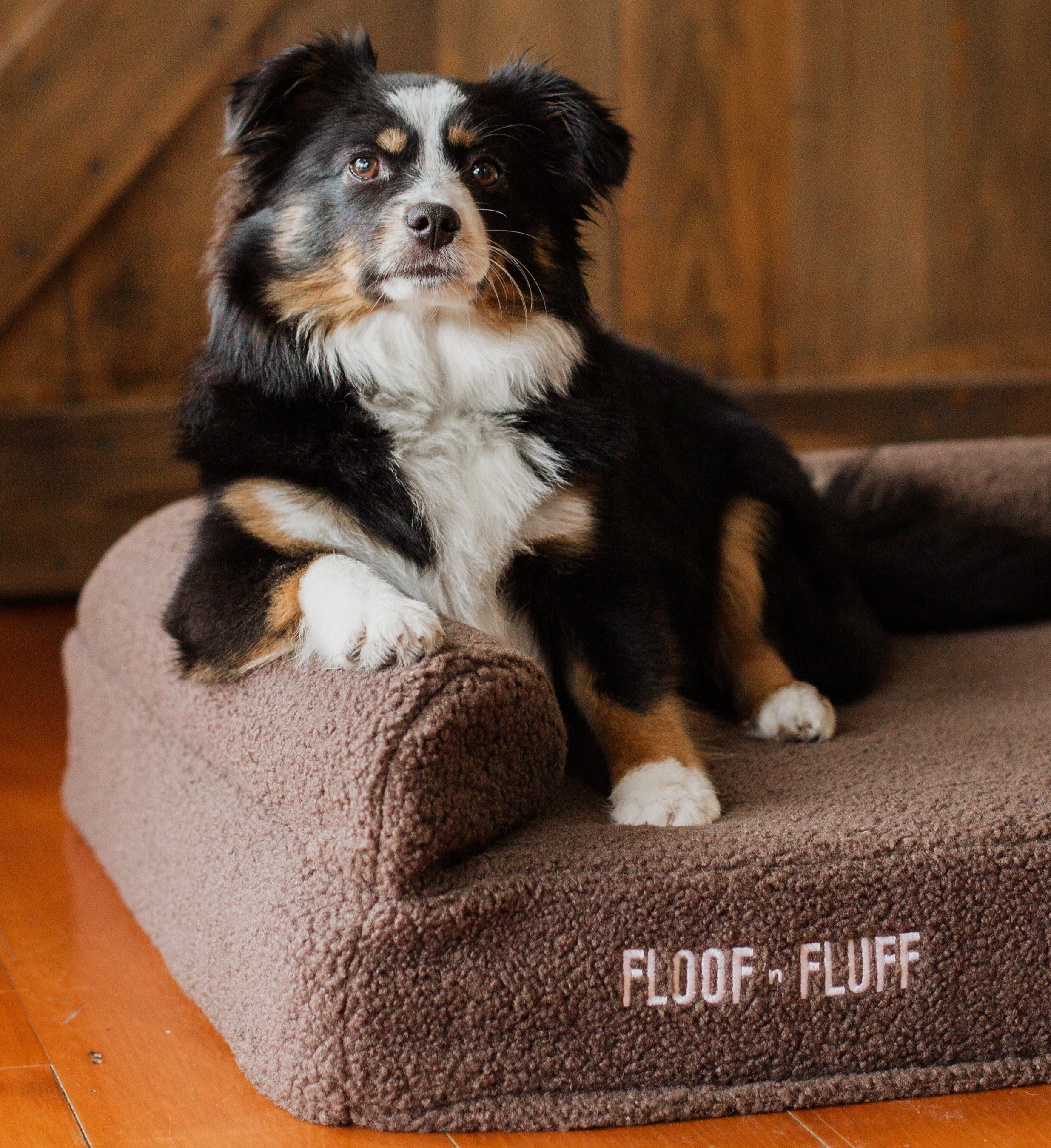 Orthopaedic Memory Foam Dog Bed