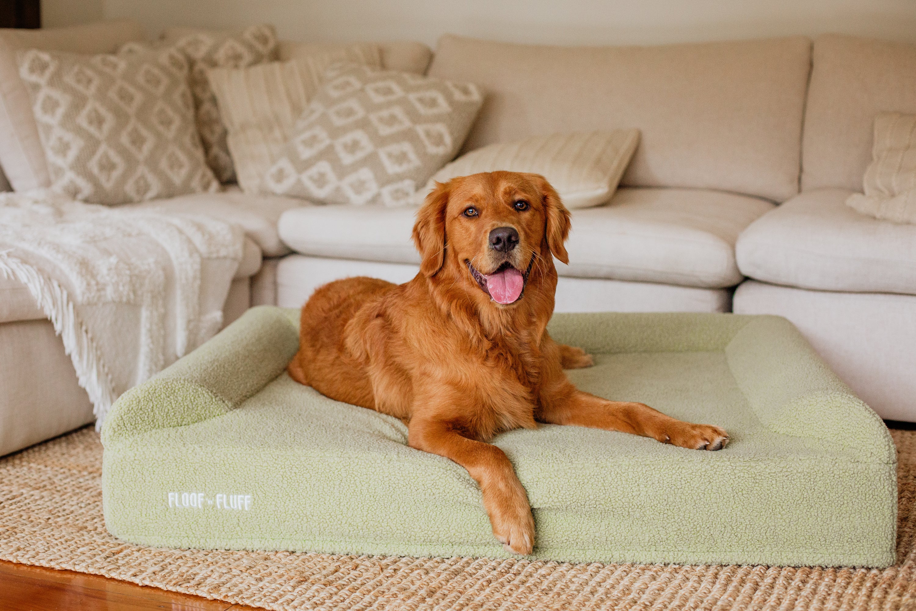 Orthopaedic Memory Foam Dog Bed