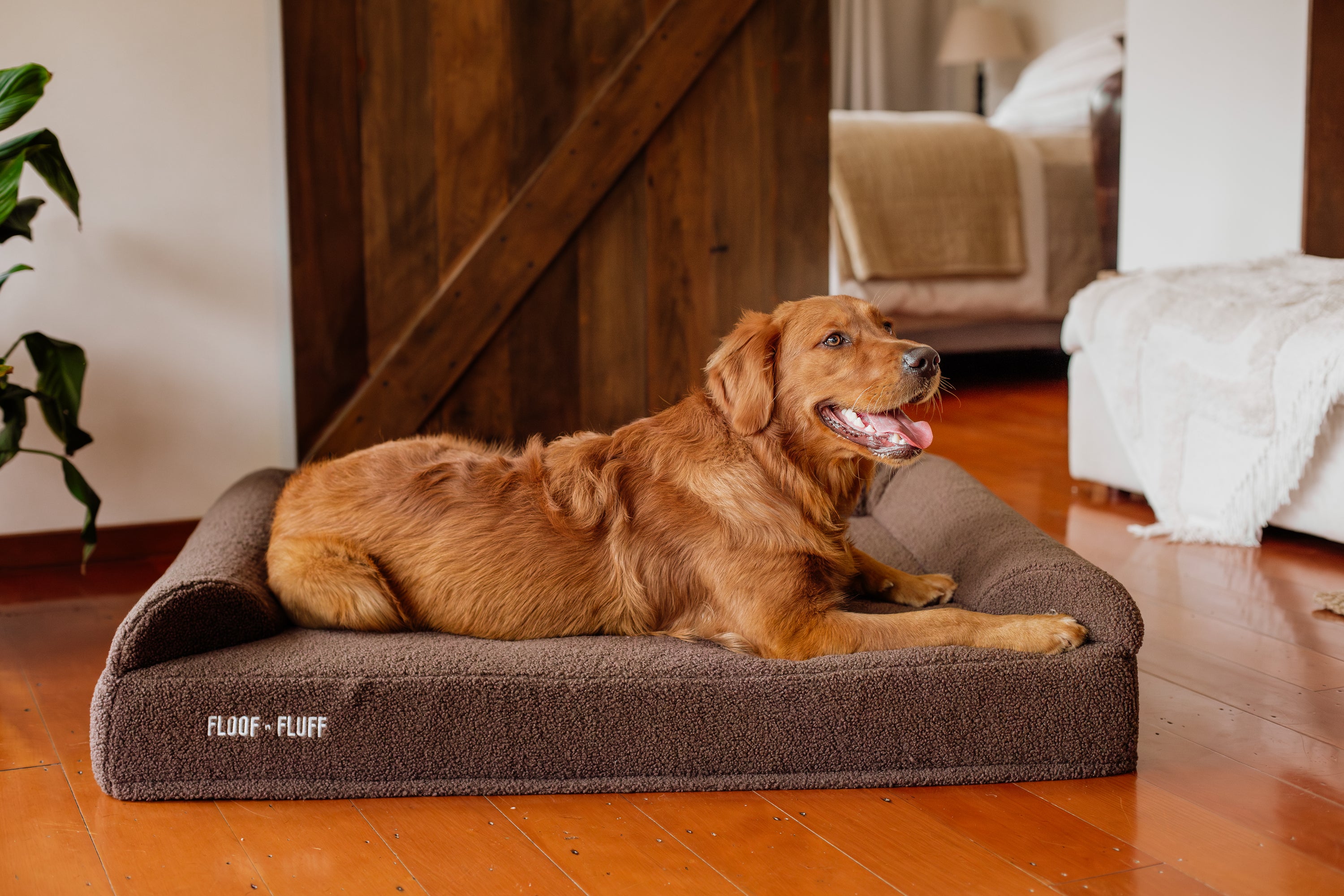 Orthopaedic Memory Foam Dog Bed