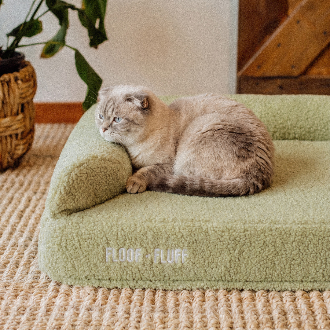 Orthopaedic Dog Bed