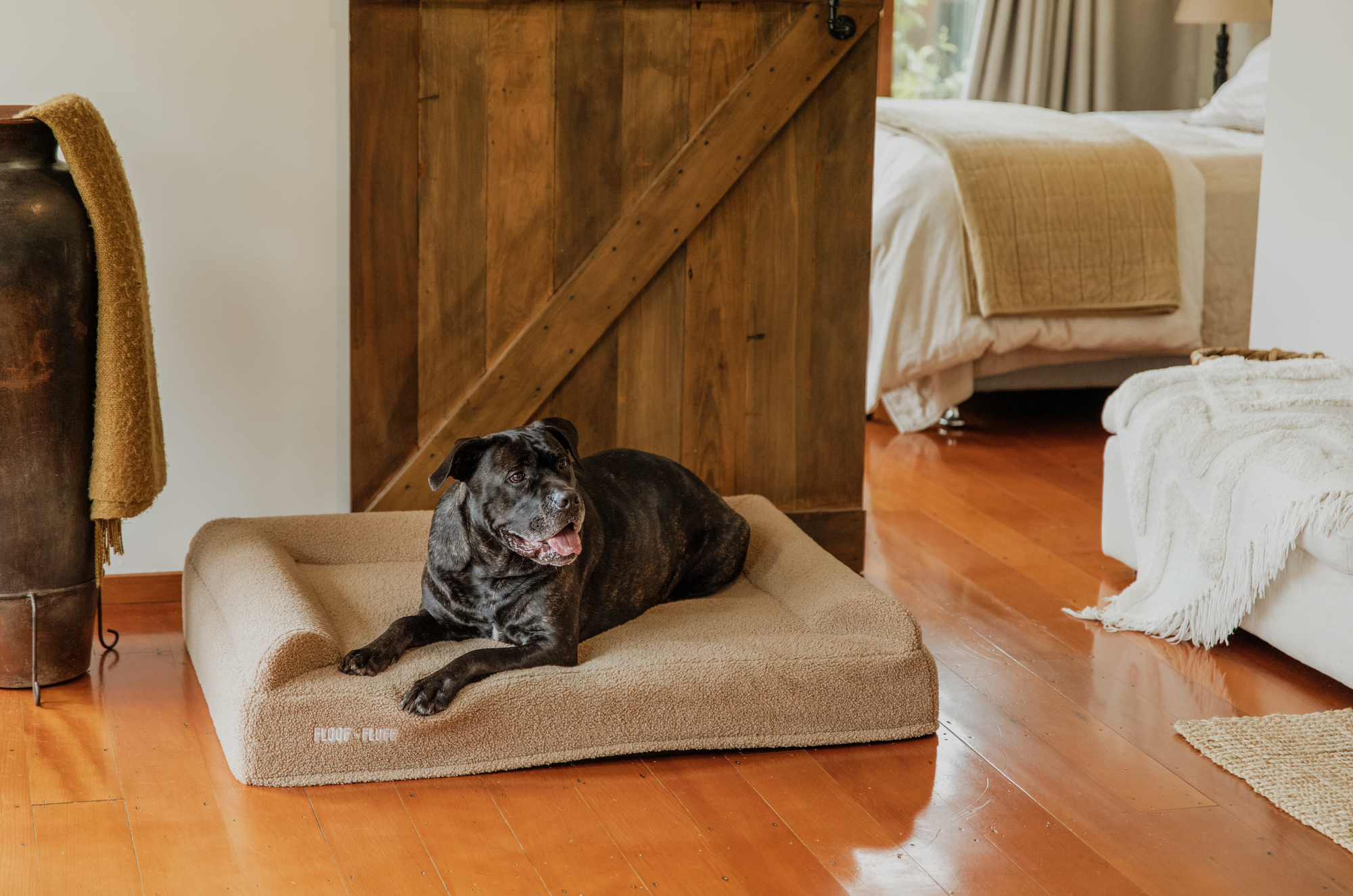 Cane Corso laying on a large Floof n Fluff Orthopaedic Memory Foam dog bed in a lounge setting 