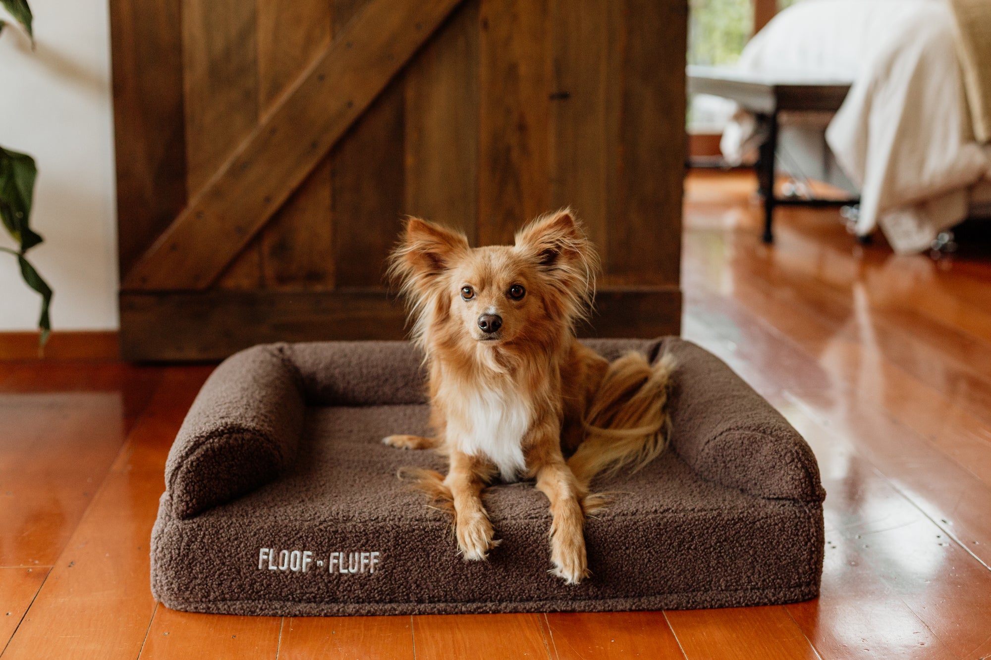 Dog lying on a brown 'Floof n Fluff' memory foam dog bed in a cozy living room.