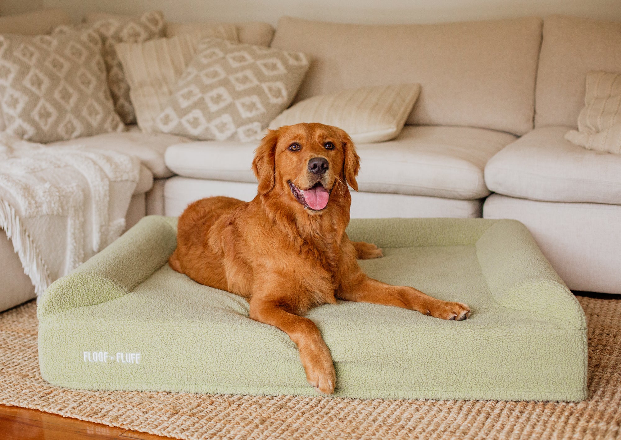 Golden Retriever laying on a large sage Floof n Fluff Orthopaedic Memory Foam dog bed
