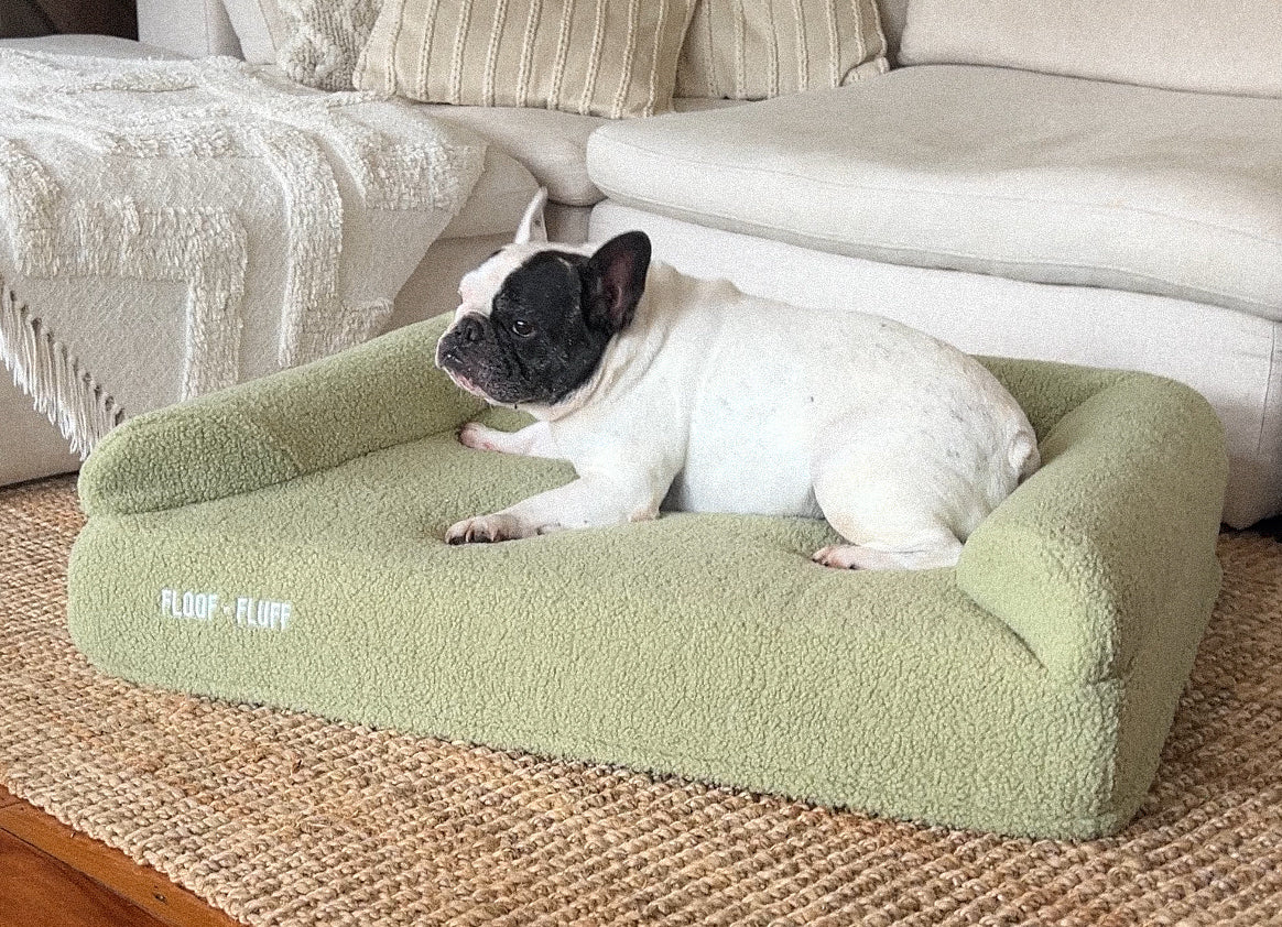 French Bulldog laying on a Floof n Fluff Orthopaedic Memory Foam dog bed