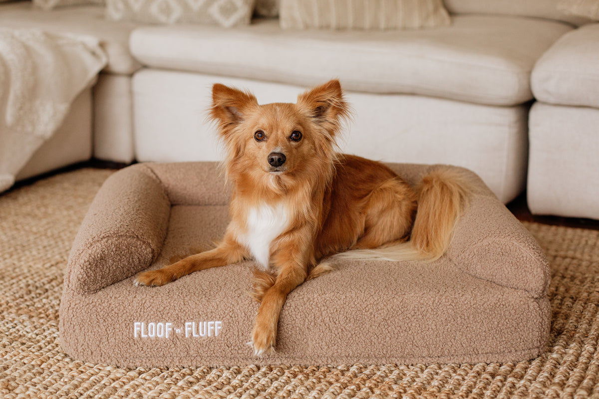 Orthopaedic Dog Bed