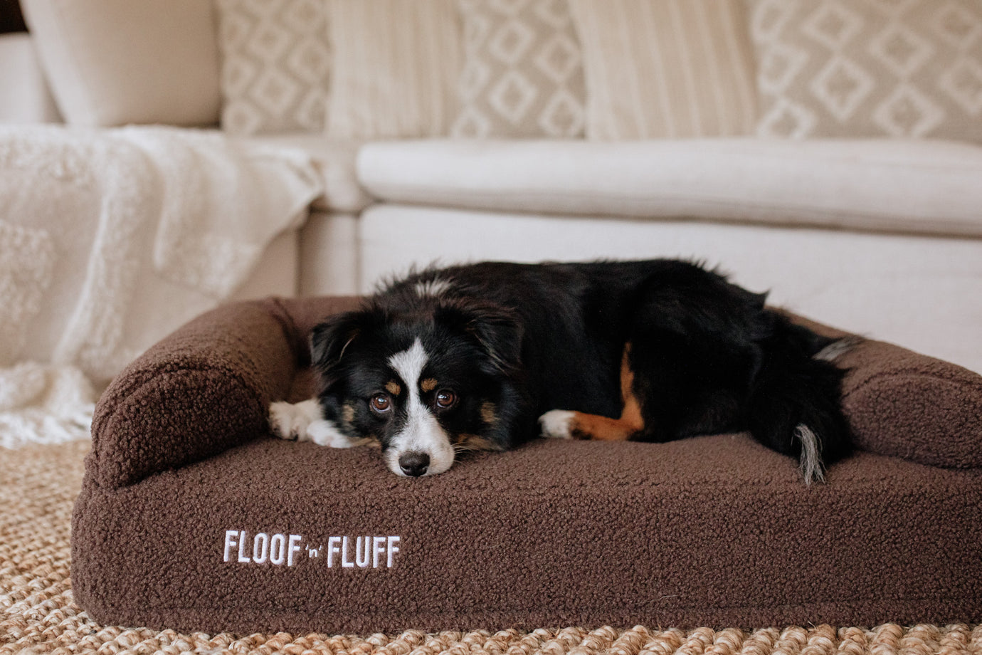 Dog lying on a brown Floof n Fluff pet bed in a cozy living room.