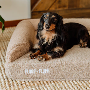 Small dog lying on a plush pet bed with 'Floof n Fluff' branding in a home setting.