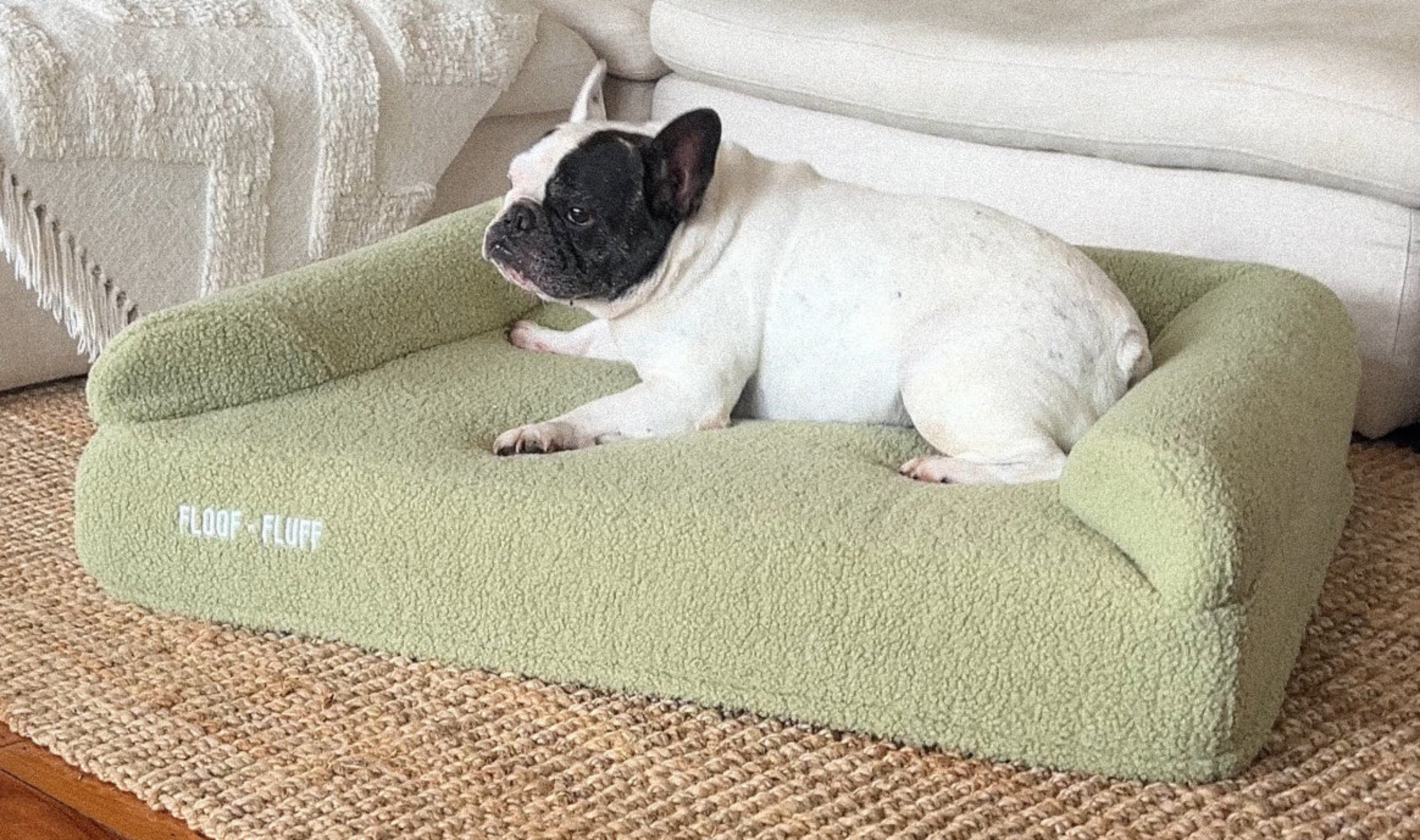 Orthopaedic Memory Foam Dog Bed