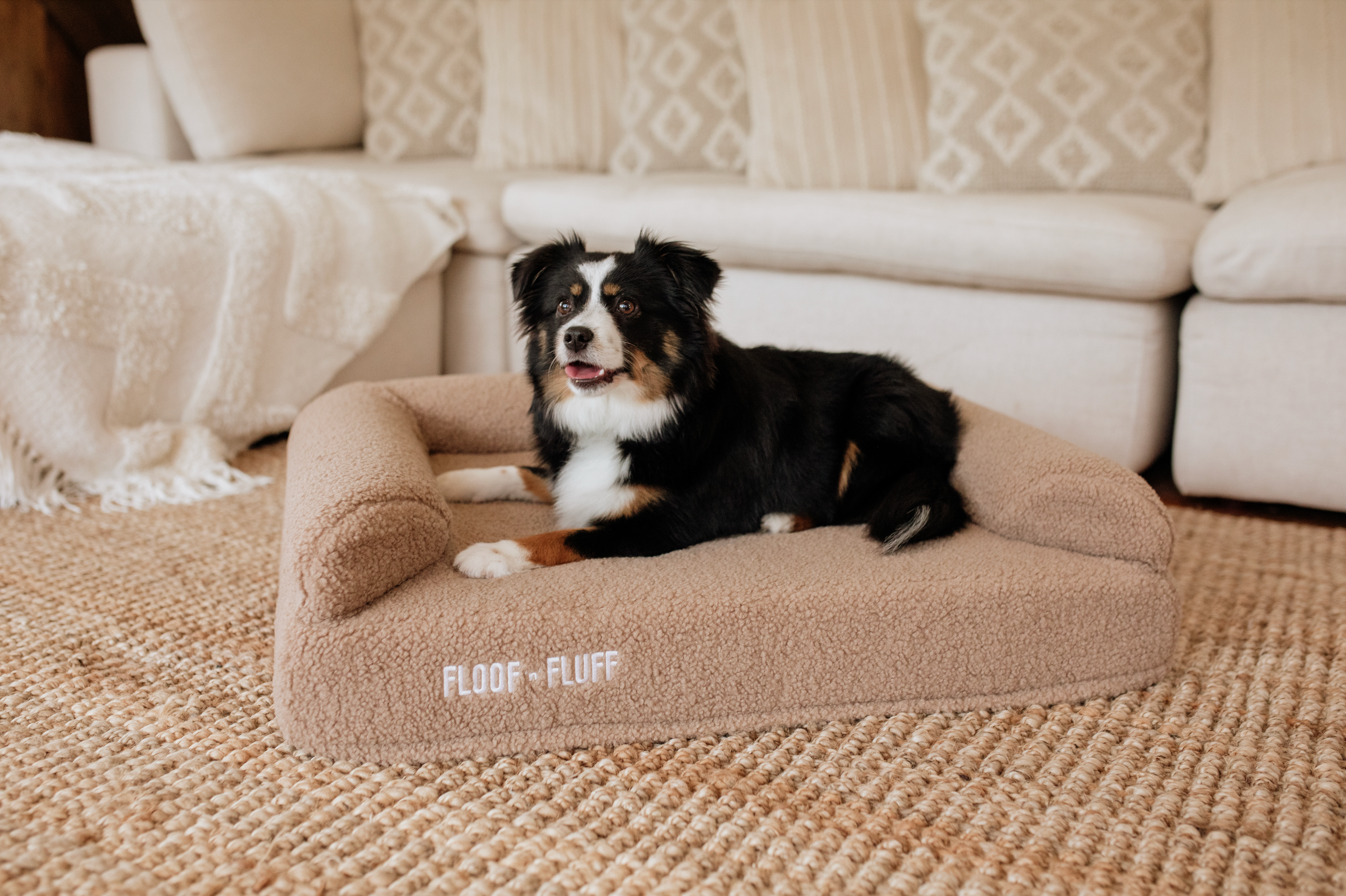 Orthopaedic Memory Foam Dog Bed
