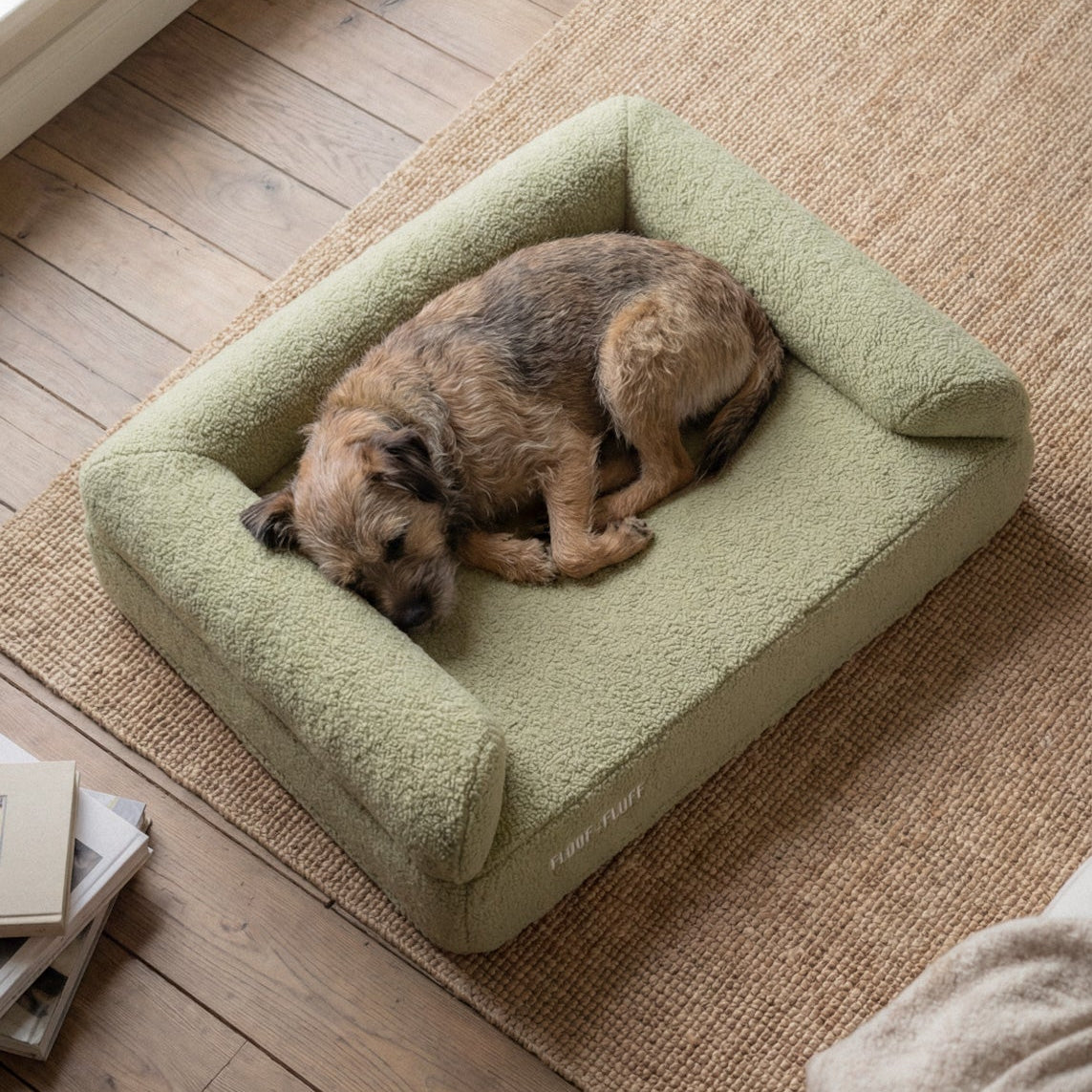 Small dog sleeping on a Floof n Fluff Orthopaedic Dog Bed